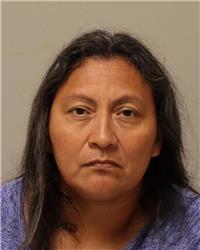 Anoka Woman Charged After Swinging Metal Rod, Shoving Resident, and Defying Police Commands